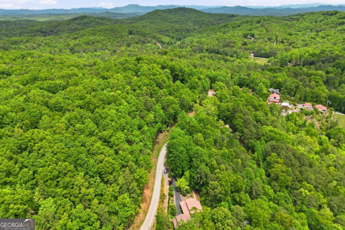 946 Laurel Circle Blue Ridge GA 30513