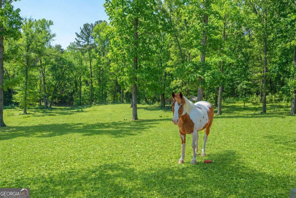 2176 N Bellview Road Rockmart GA 30153