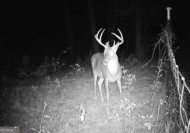 2176 N Bellview Road Rockmart GA 30153