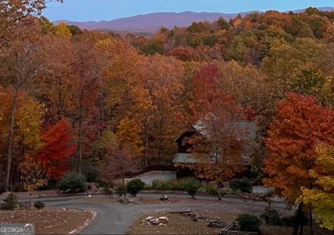 175 Leisure Drive Ellijay GA 30536