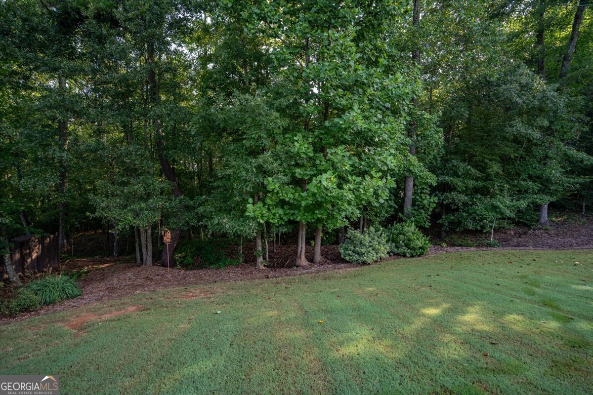 3065 Brooks Trail Monroe GA 30656