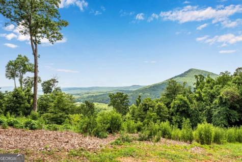 248 Duffer Drive Jasper GA 30143