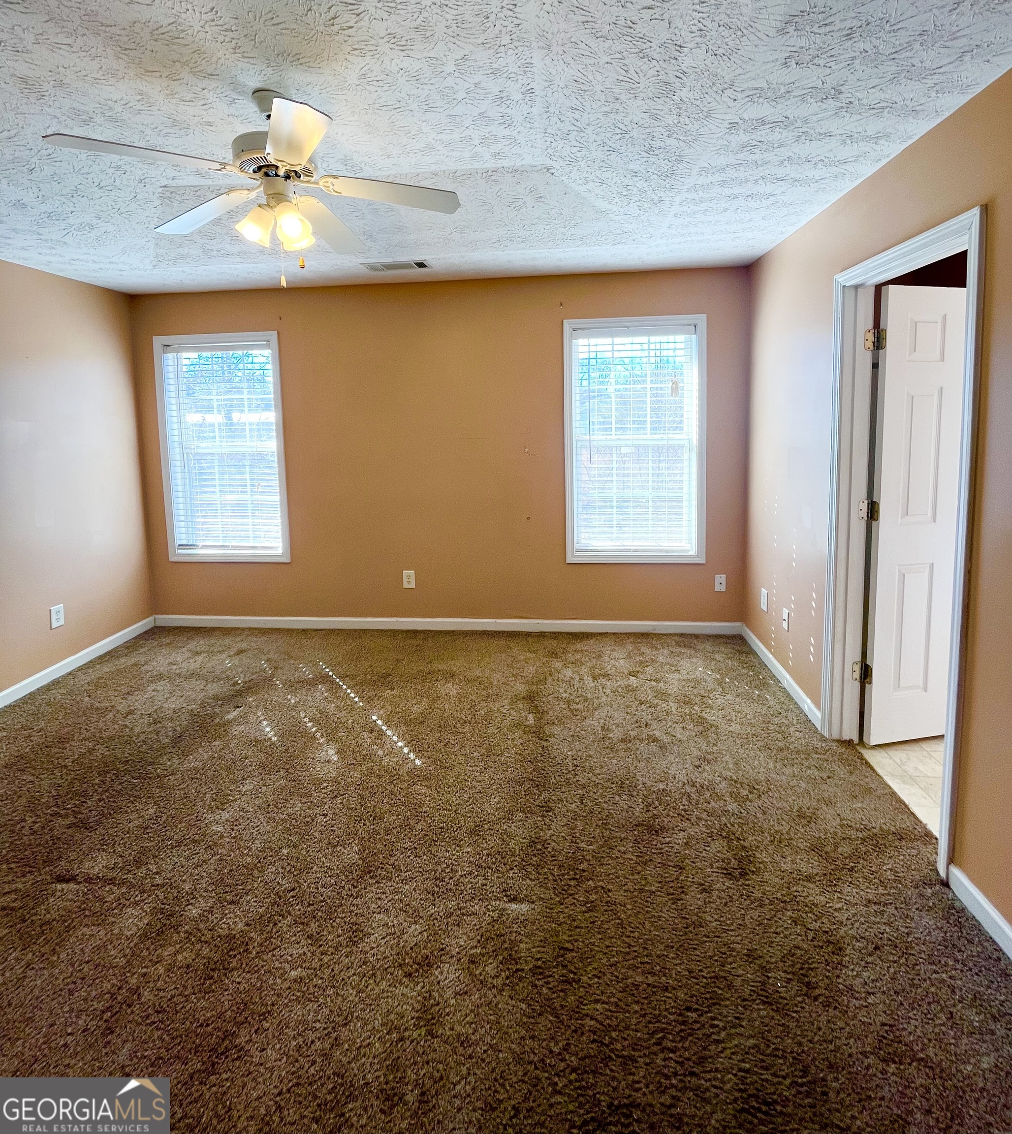11473 Vinea Way Hampton GA 30228