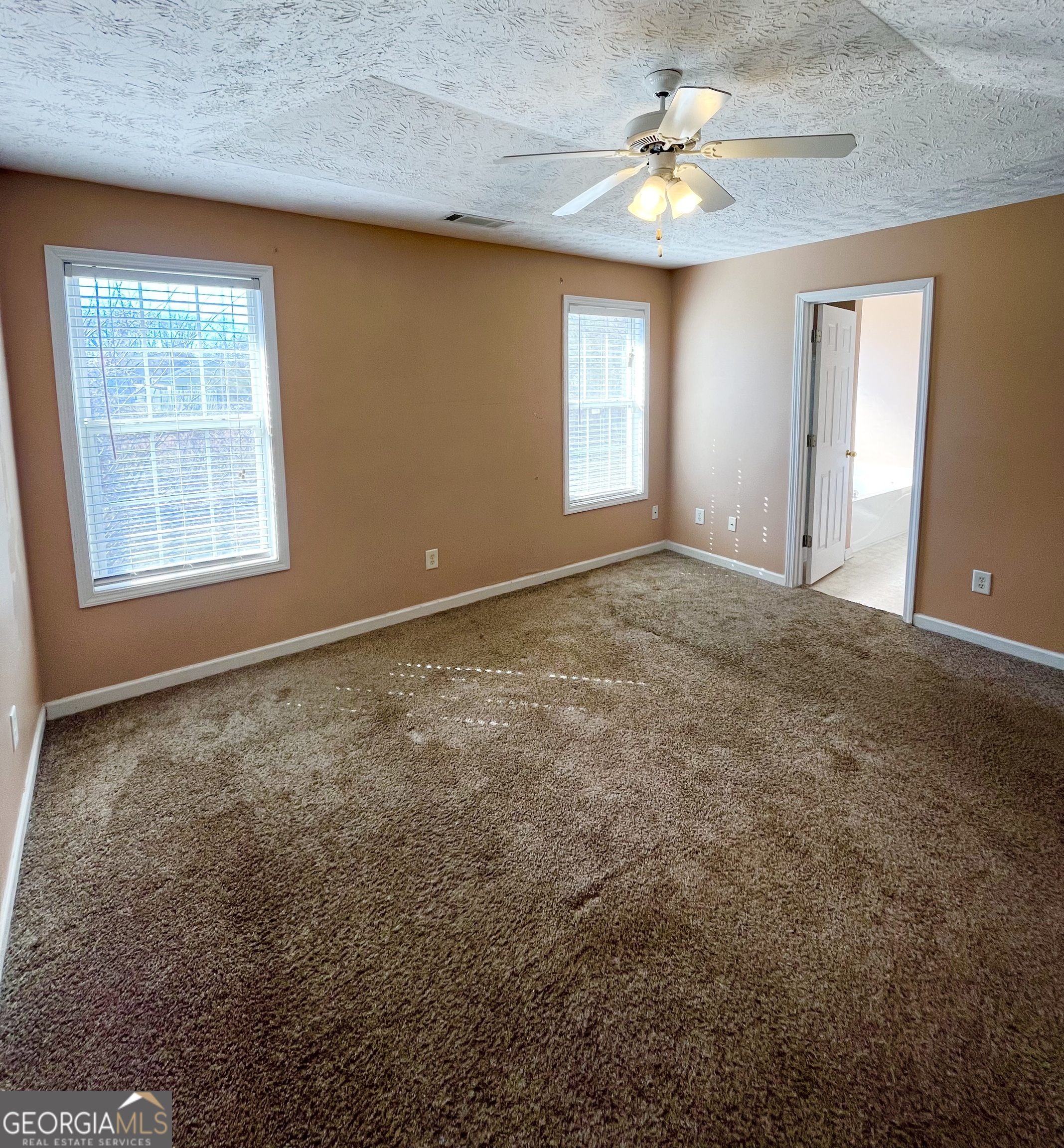 11473 Vinea Way Hampton GA 30228