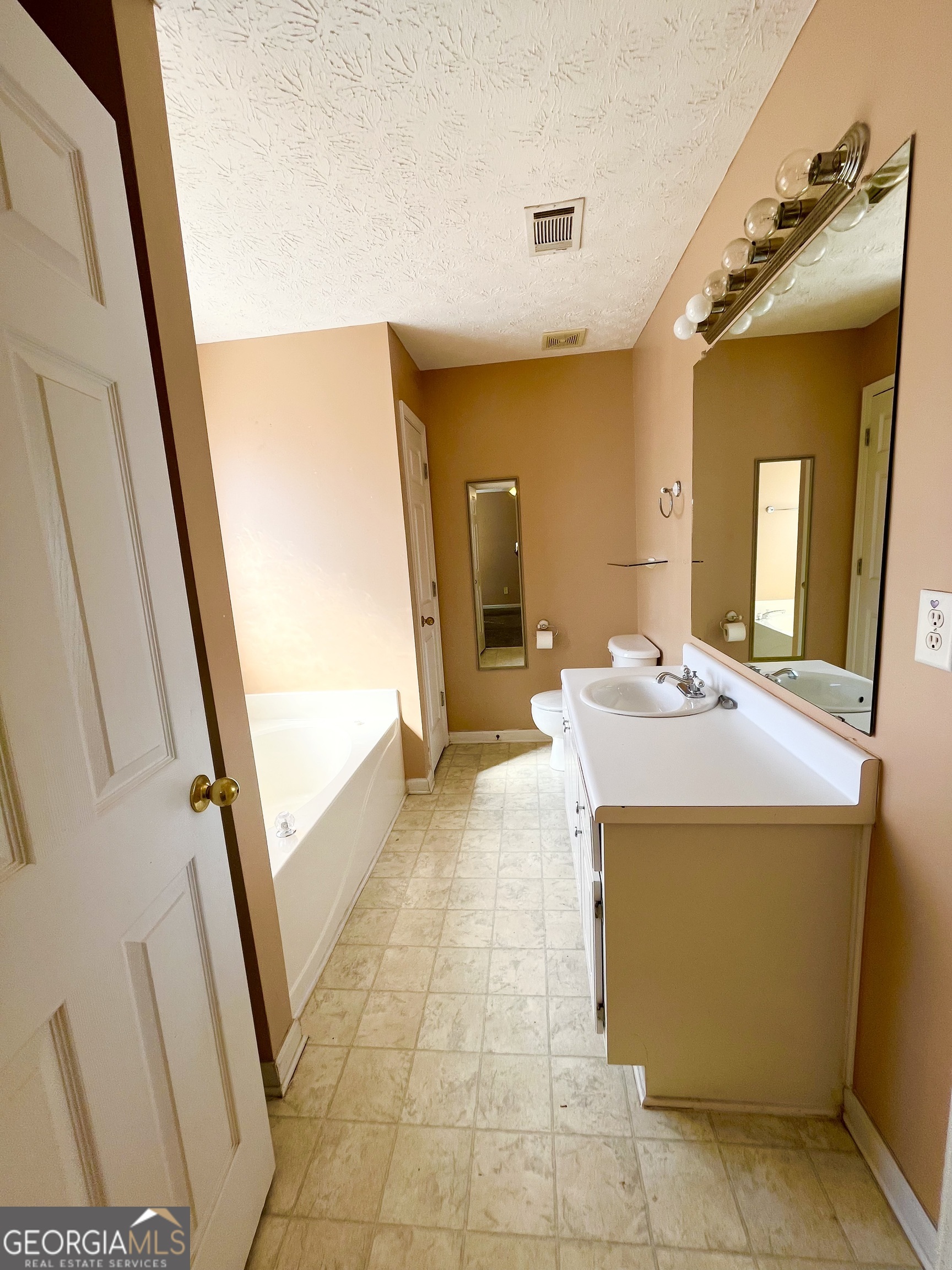 11473 Vinea Way Hampton GA 30228