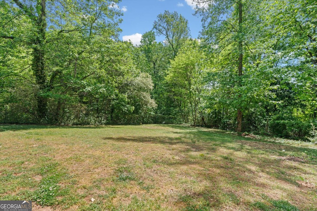 147 Park Heights Street Buchanan GA 30113