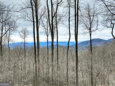1189 Walnut Ridge Ellijay GA 30536