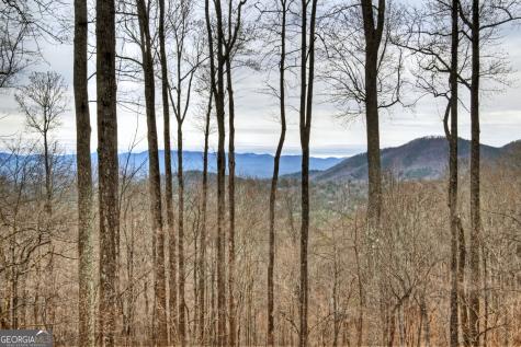 1189 Walnut Ridge Ellijay GA 30536