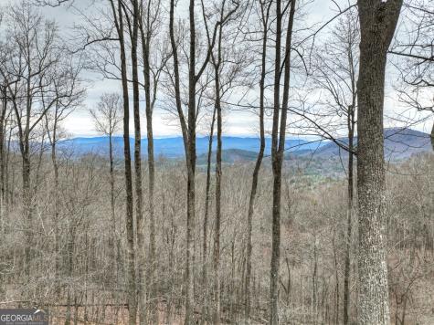1189 Walnut Ridge Ellijay GA 30536