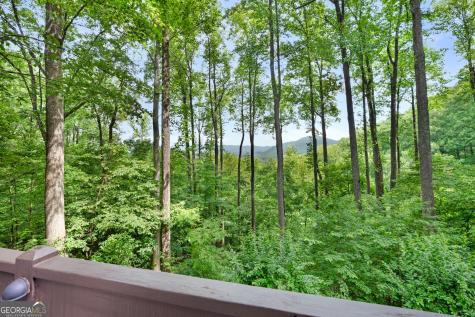 1189 Walnut Ridge Ellijay GA 30536