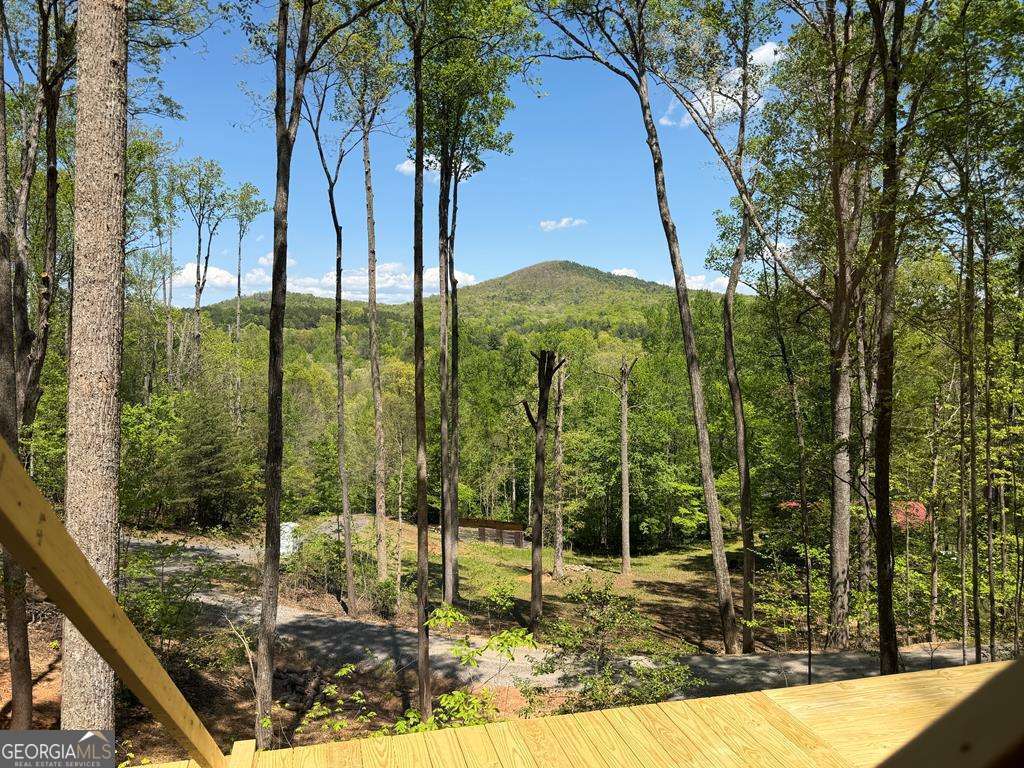 # 9 Oak Cliff Lane Morganton GA 30560