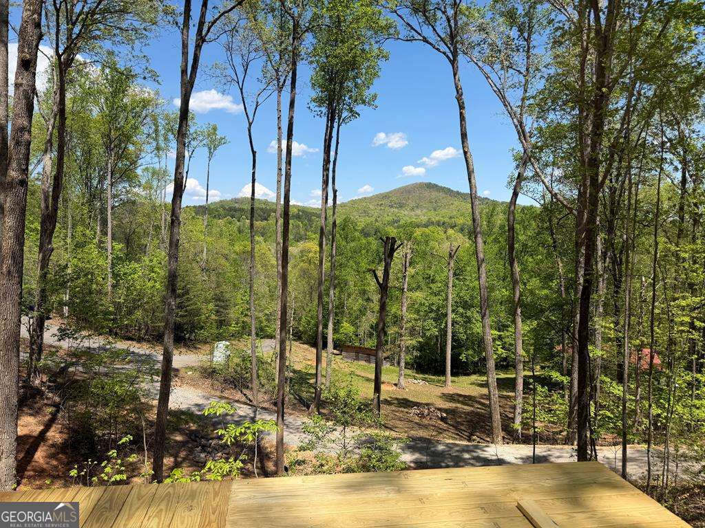 # 9 Oak Cliff Lane Morganton GA 30560