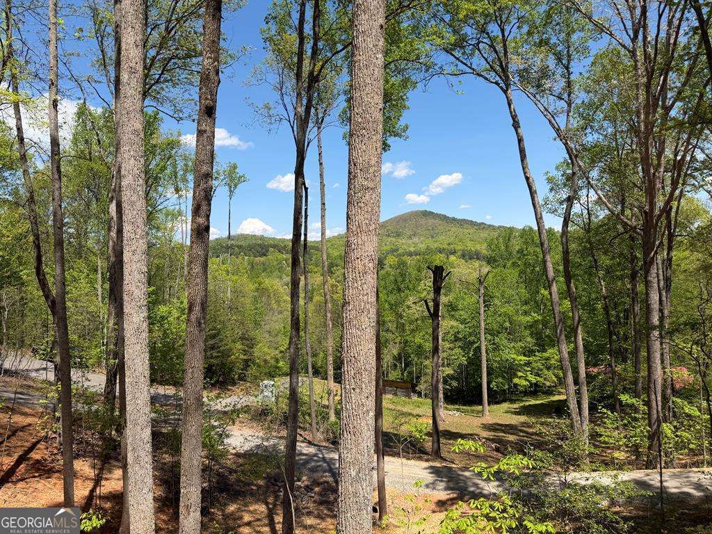 # 9 Oak Cliff Lane Morganton GA 30560