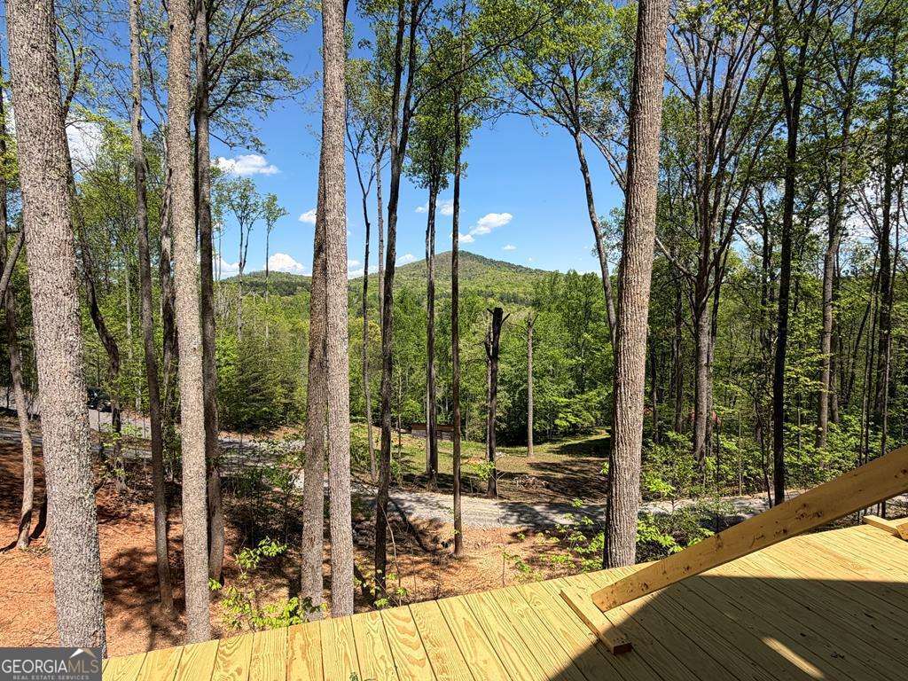 # 9 Oak Cliff Lane Morganton GA 30560
