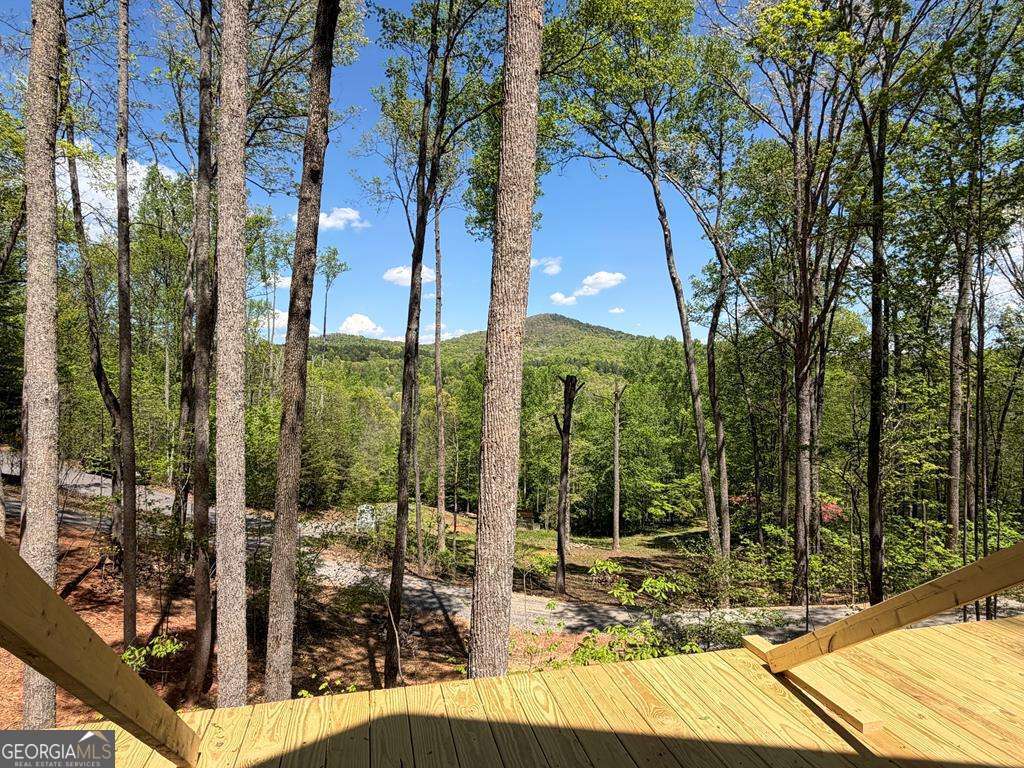 # 9 Oak Cliff Lane Morganton GA 30560