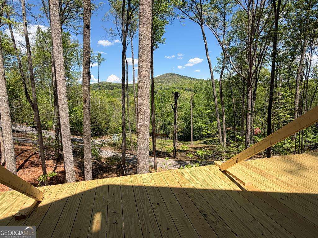# 9 Oak Cliff Lane Morganton GA 30560
