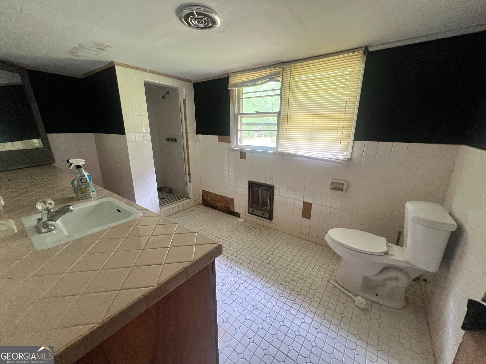 1165 Jay Bird Springs Road Chauncey GA 31011
