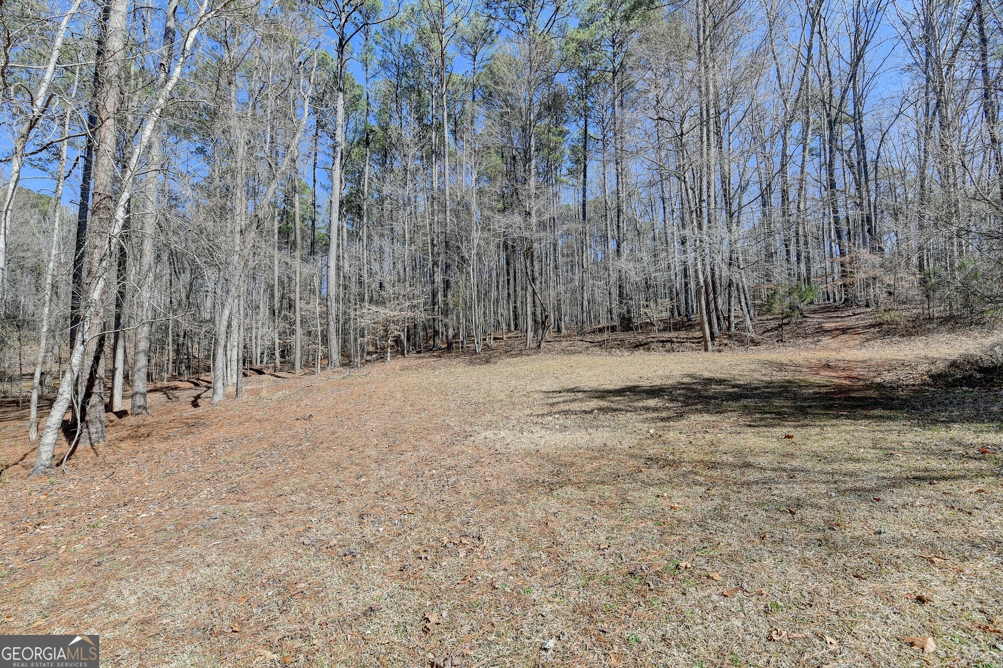 60 Hickory Hill Drive Oxford GA 30054
