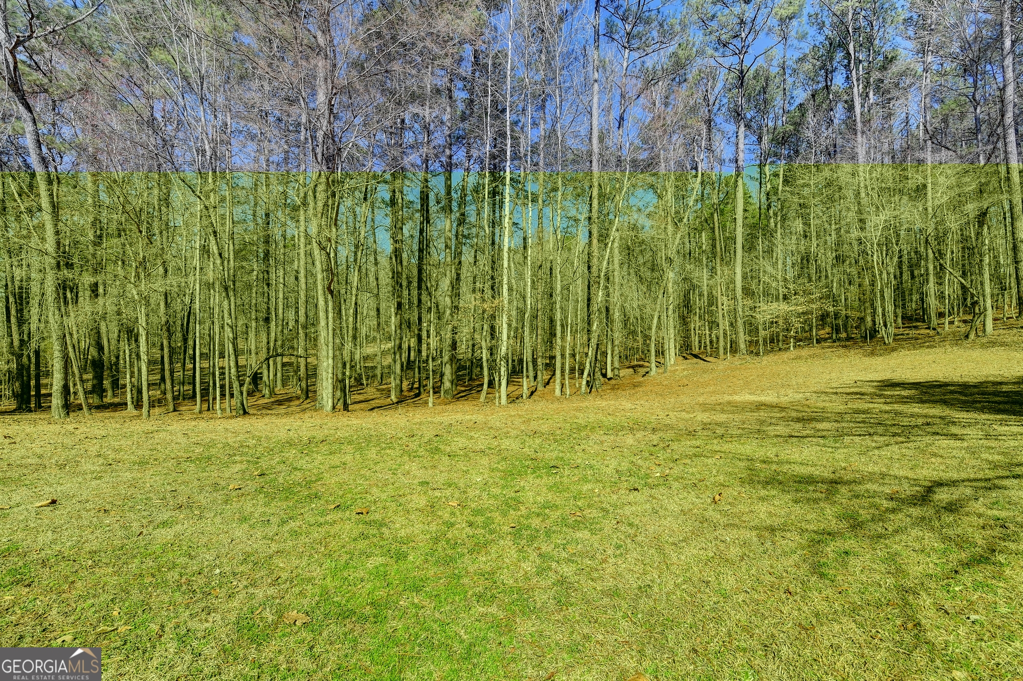 60 Hickory Hill Drive Oxford GA 30054