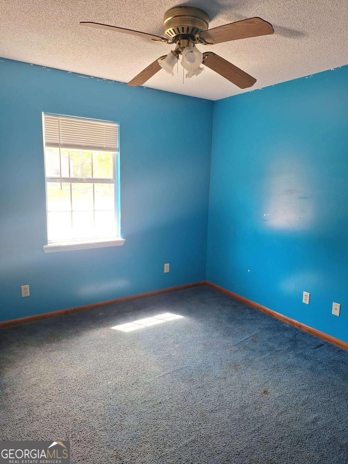 37 Faison Street Baxley GA 31513