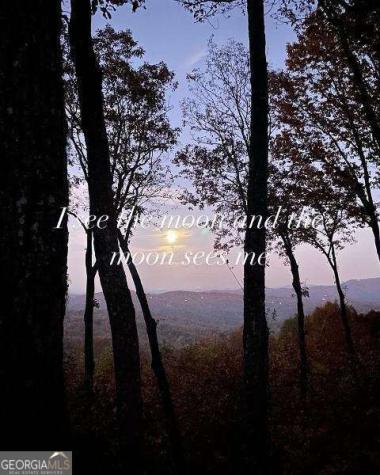772 Double Knob Road Ellijay GA 30540