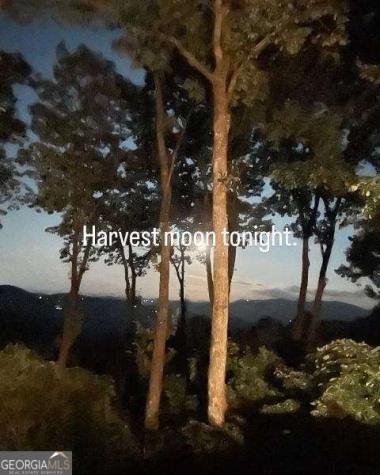 772 Double Knob Road Ellijay GA 30540