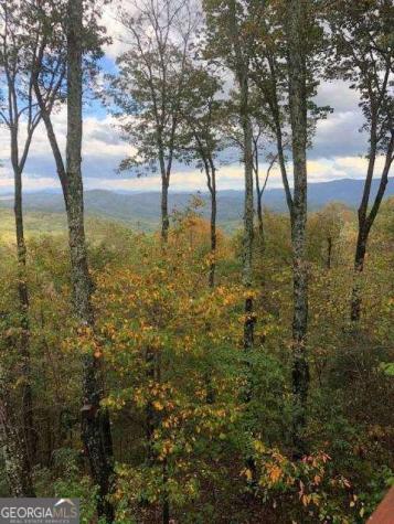 772 Double Knob Road Ellijay GA 30540