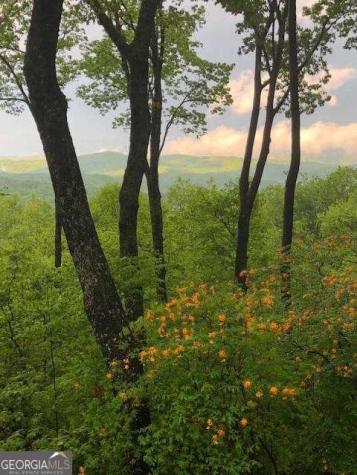 772 Double Knob Road Ellijay GA 30540