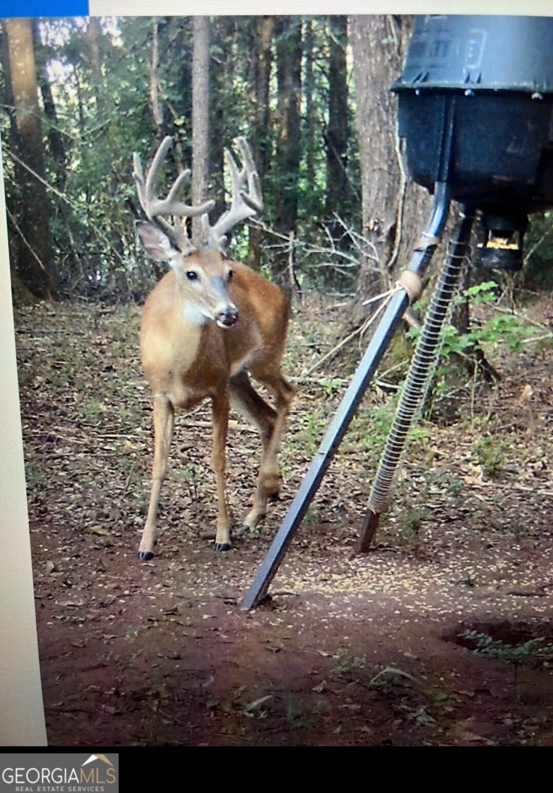 63 Dunlap Circle Griffin GA 30224