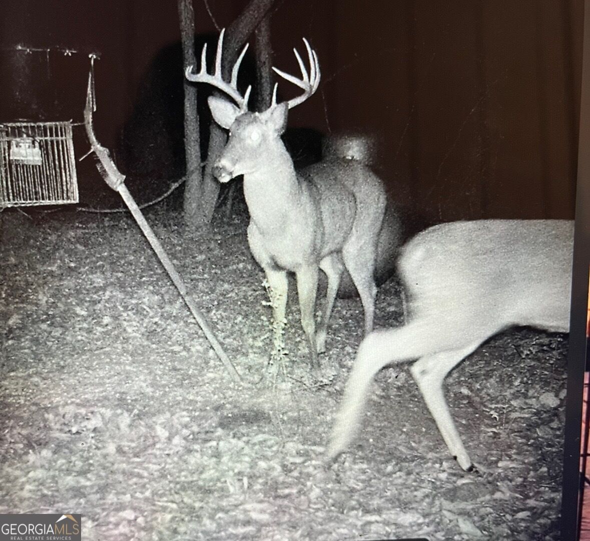 63 Dunlap Circle Griffin GA 30224