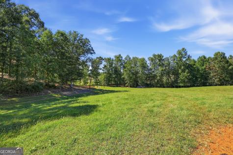 1133 Ricky West Road Cleveland GA 30528
