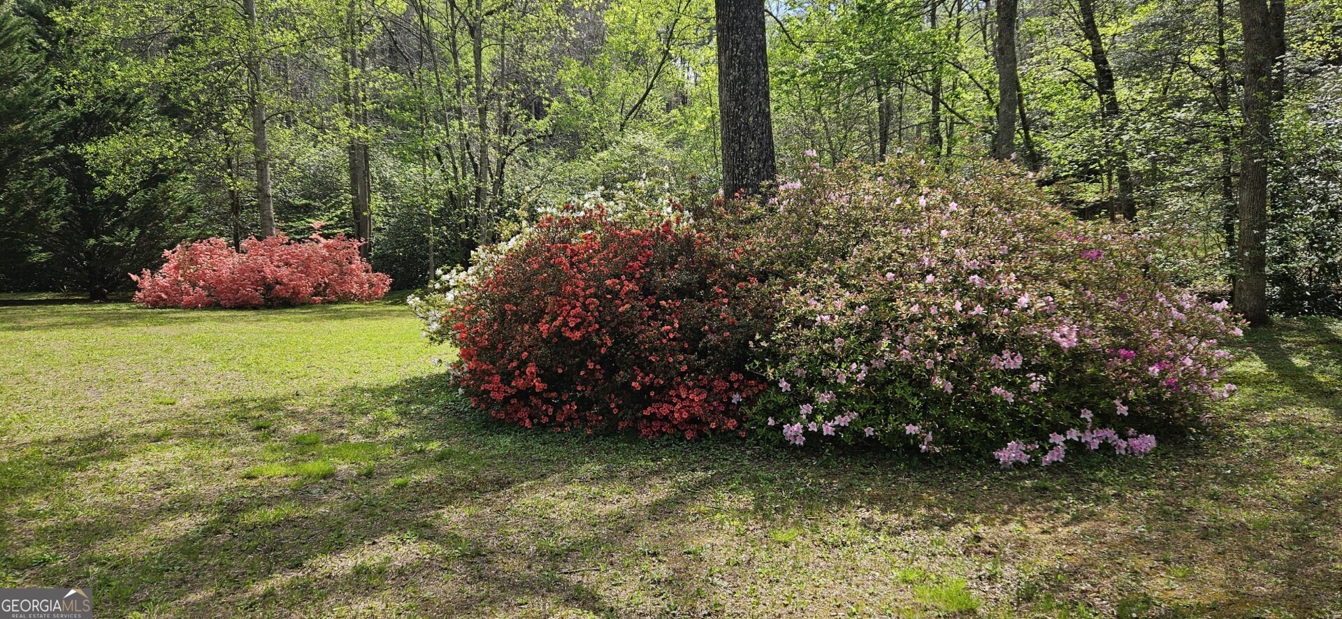 136 Ross Road Mineral Bluff GA 30559