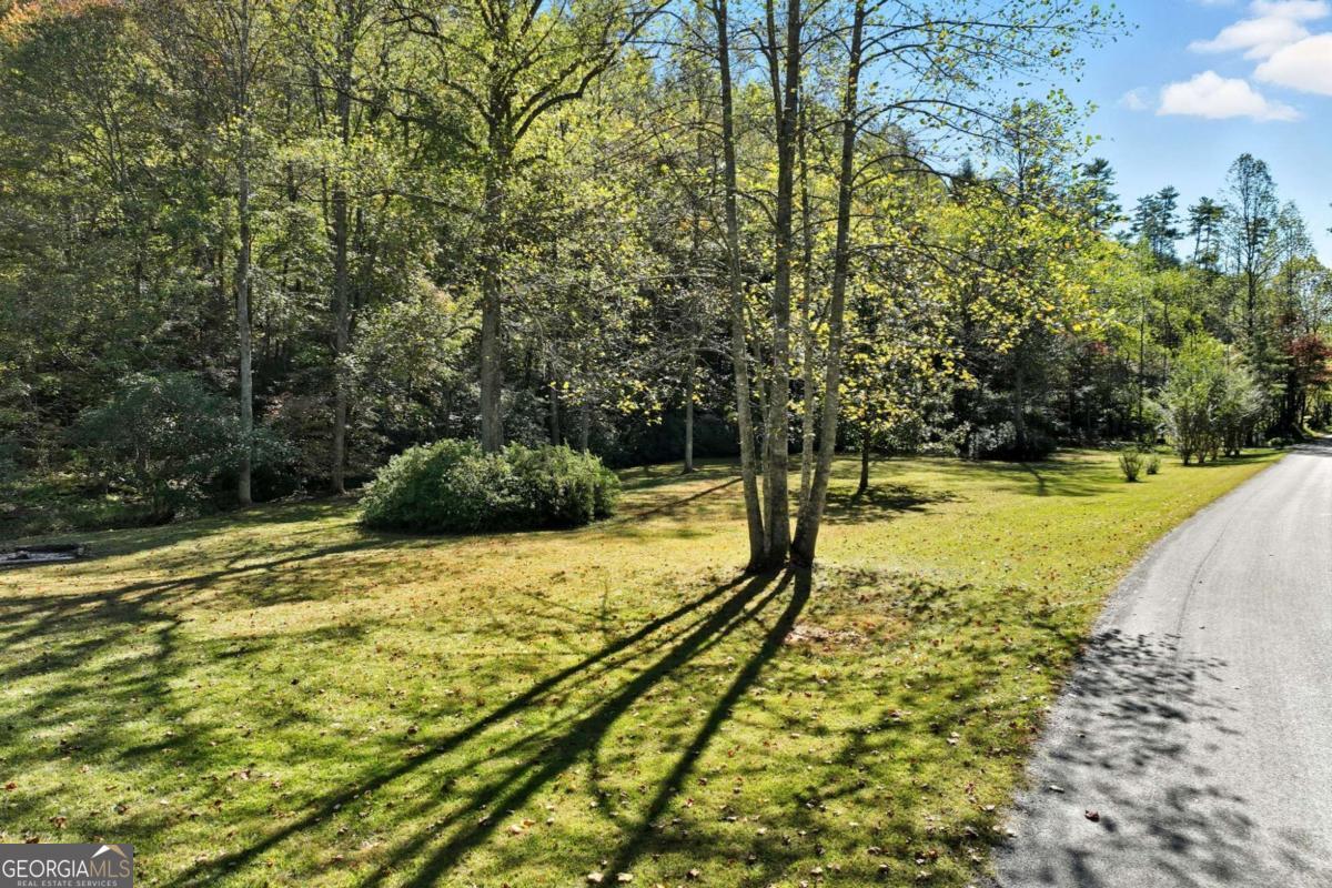 136 Ross Road Mineral Bluff GA 30559