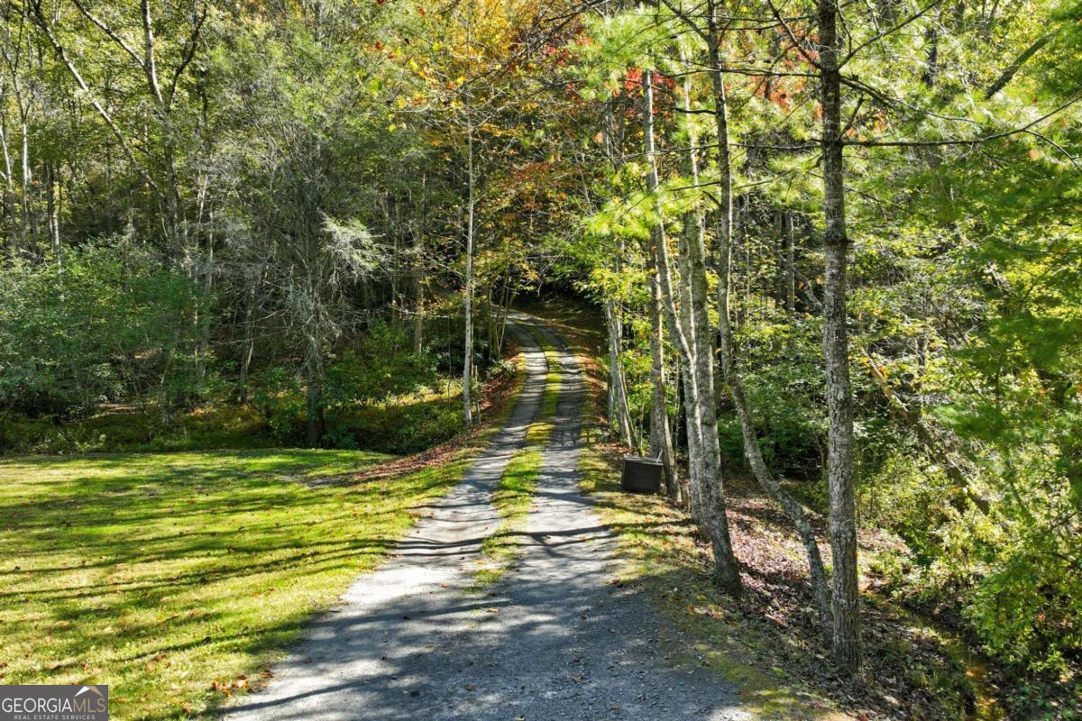 136 Ross Road Mineral Bluff GA 30559