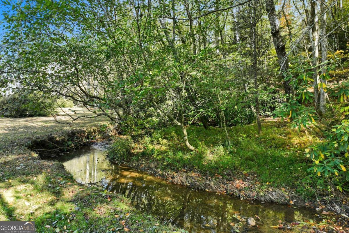 136 Ross Road Mineral Bluff GA 30559