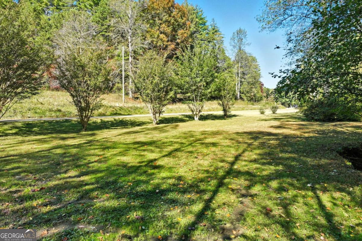 136 Ross Road Mineral Bluff GA 30559
