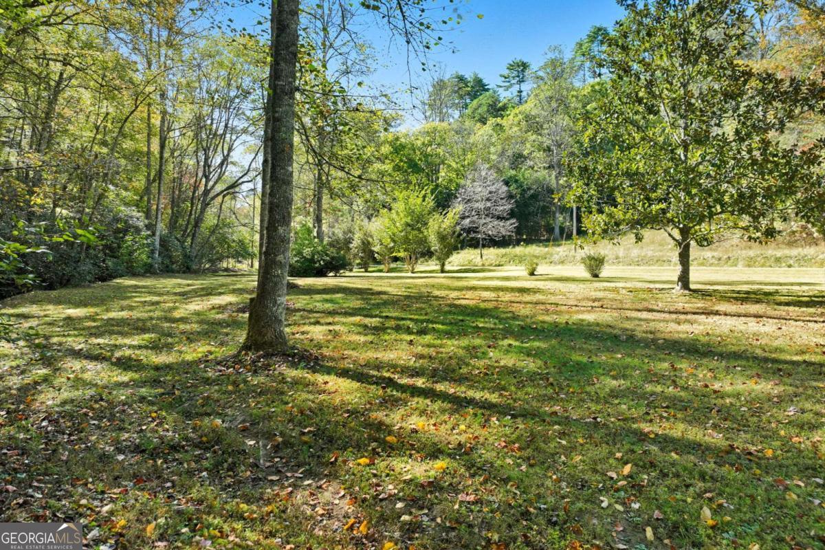 136 Ross Road Mineral Bluff GA 30559