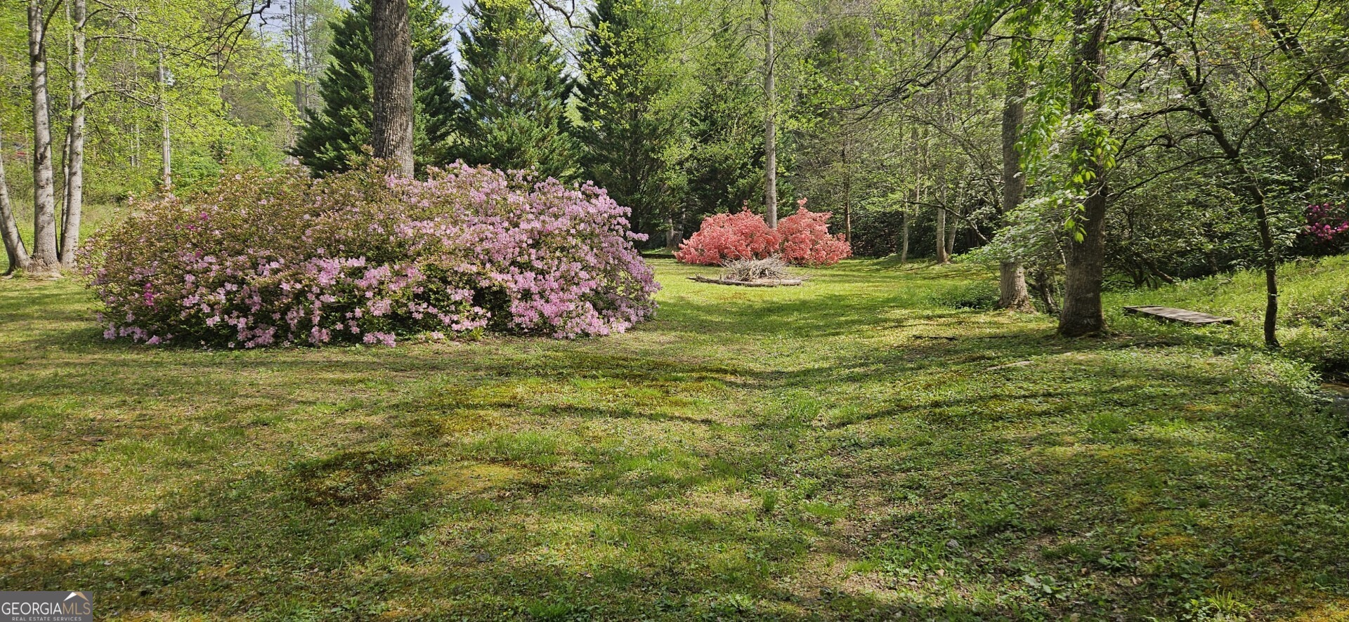 136 Ross Road Mineral Bluff GA 30559