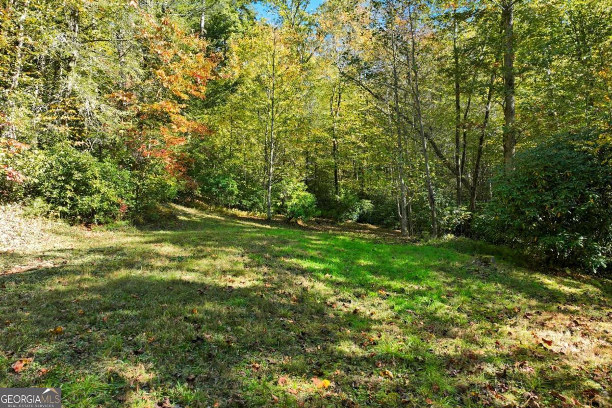 136 Ross Road Mineral Bluff GA 30559