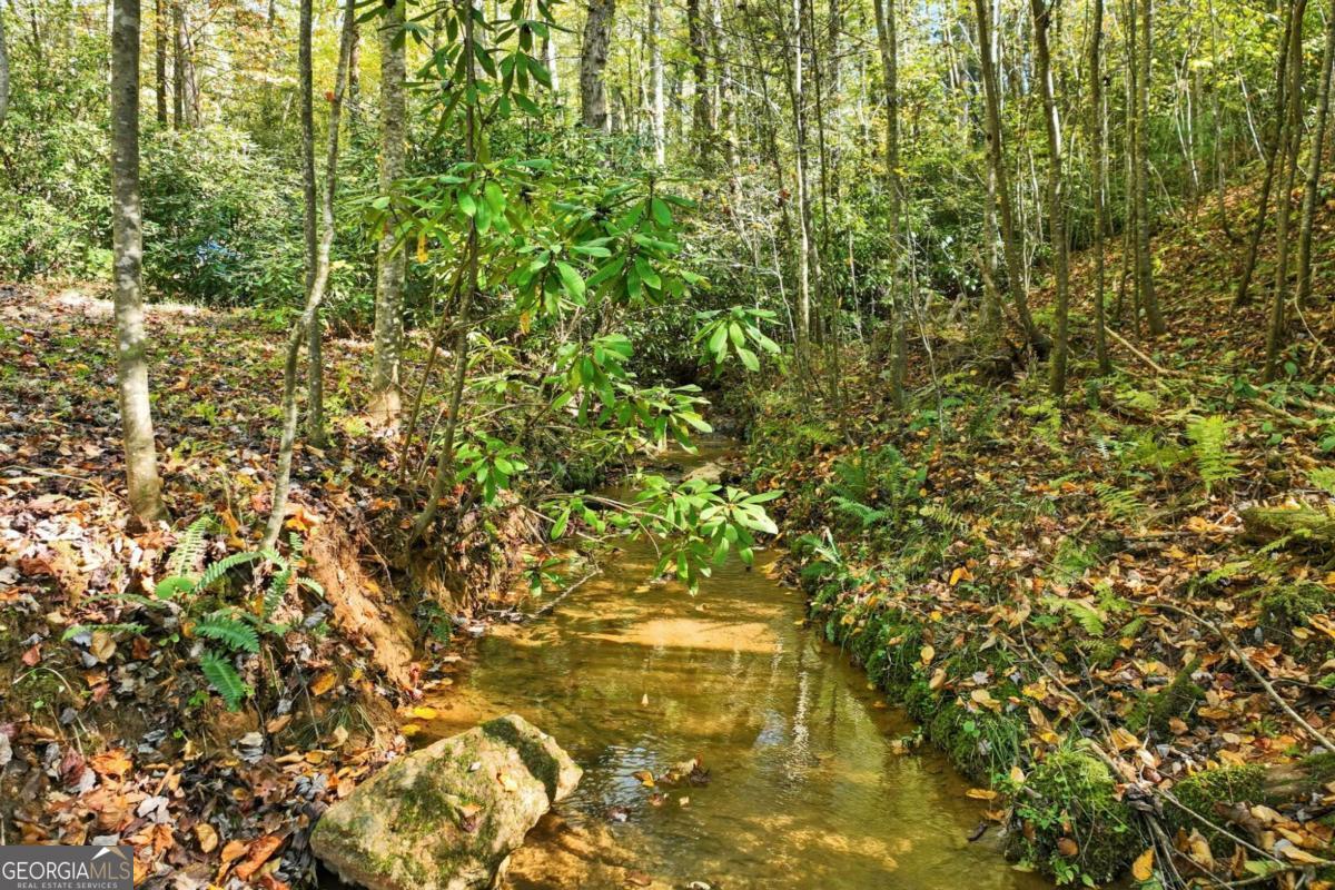 136 Ross Road Mineral Bluff GA 30559