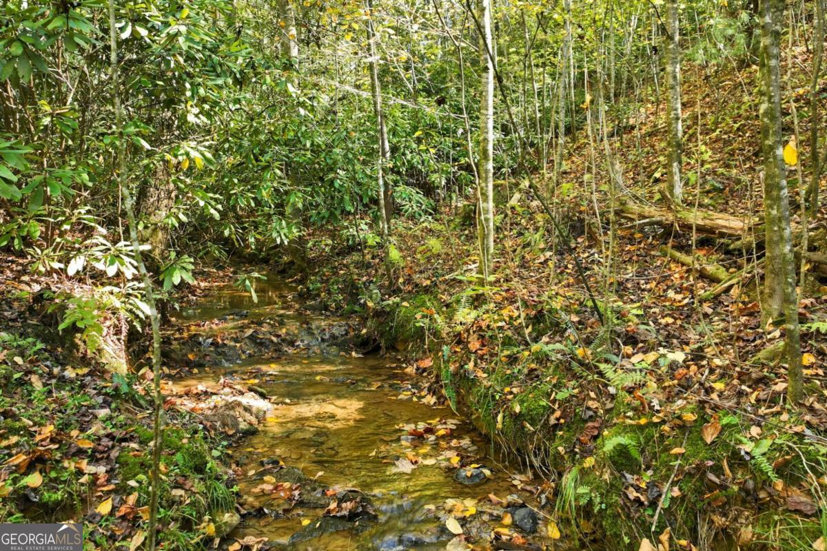 136 Ross Road Mineral Bluff GA 30559