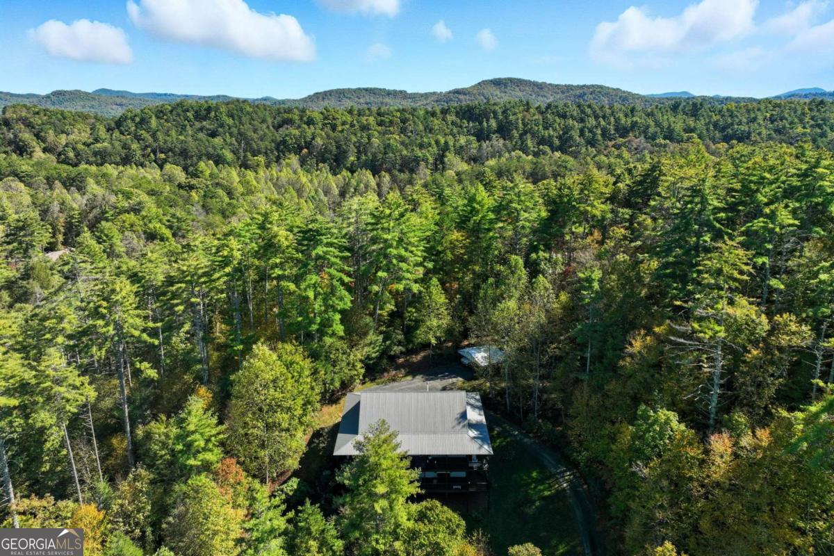 136 Ross Road Mineral Bluff GA 30559