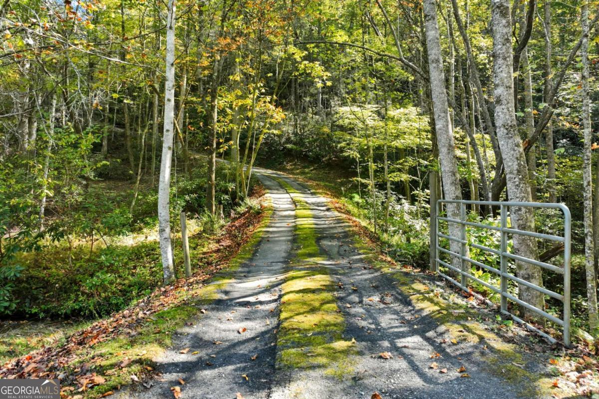 136 Ross Road Mineral Bluff GA 30559