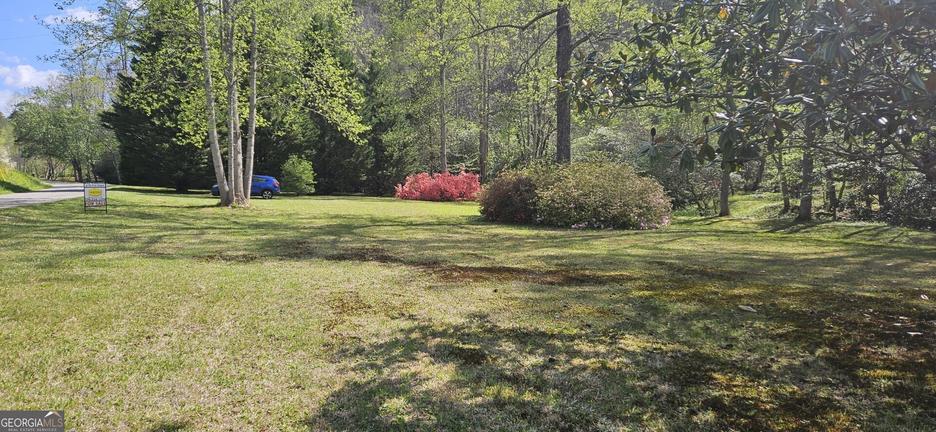136 Ross Road Mineral Bluff GA 30559