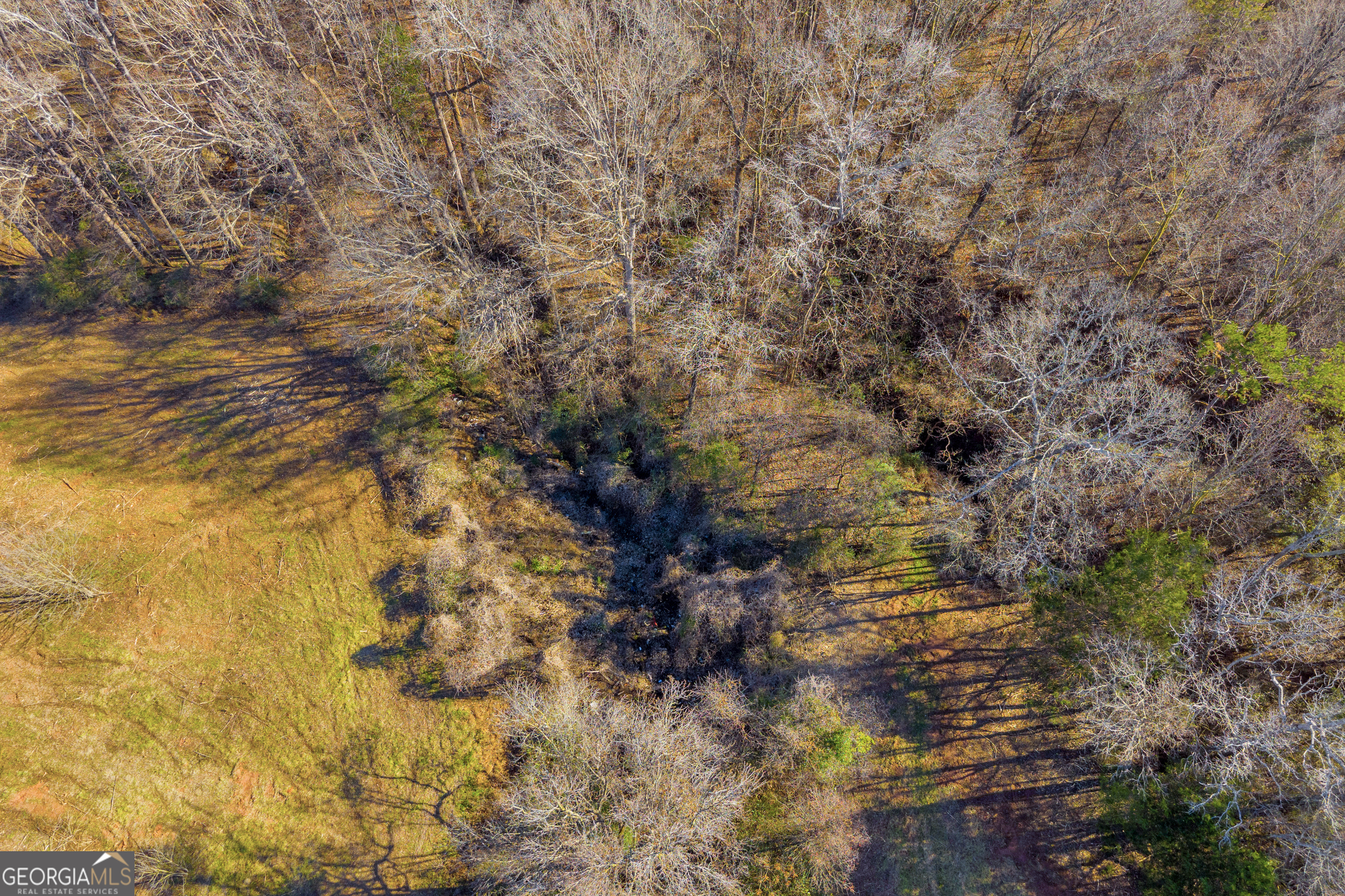 7660 Sandy Cross Road Carnesville GA 30521