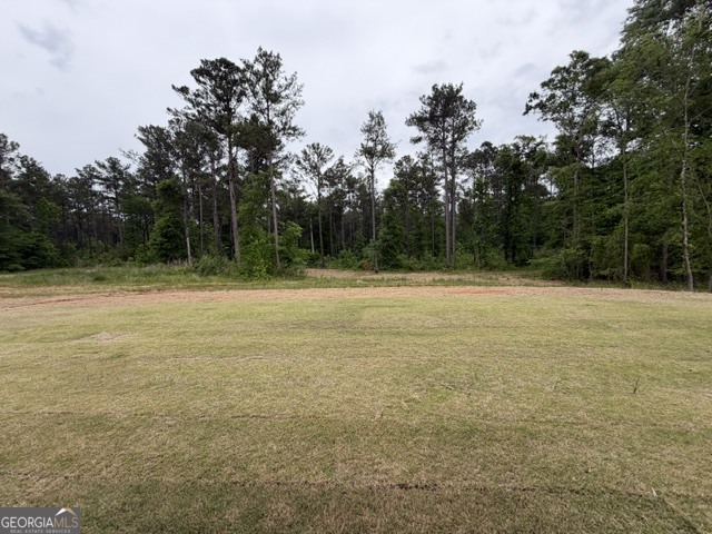 226 Robert Williams Road Pine Mountain GA 31822