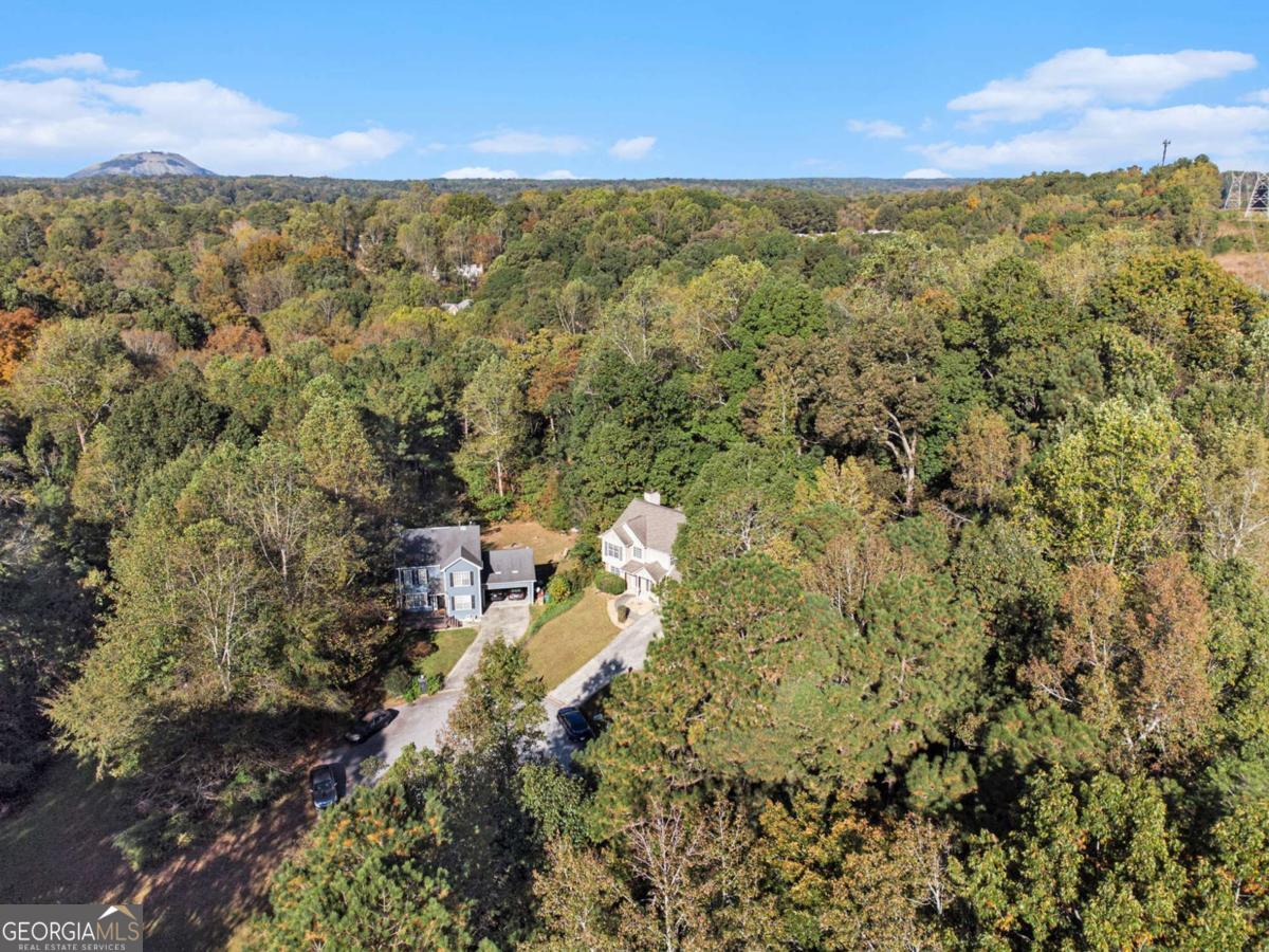 4545 Forrest Bend Court Snellville GA 30039