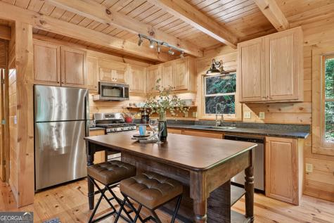 46 Private Drive Ellijay GA 30536