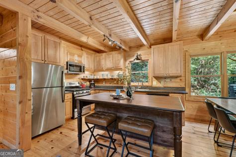 46 Private Drive Ellijay GA 30536