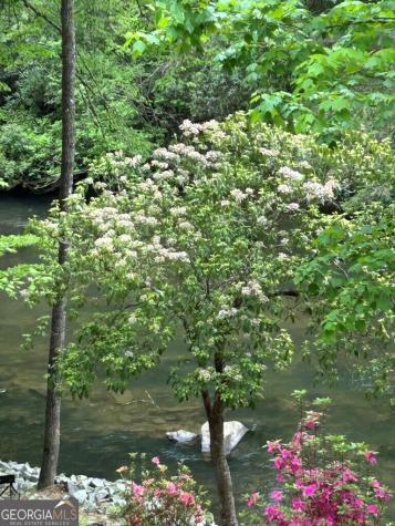 46 Private Drive Ellijay GA 30536